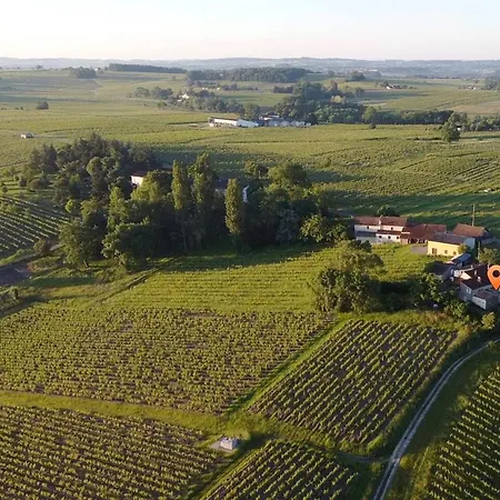 Peaceful 2-Bedroom Apartment With Vineyard View