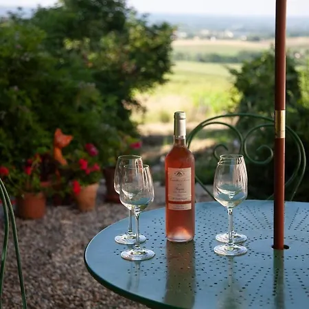 Peaceful 2-Bedroom Apartment With Vineyard View Apartment *