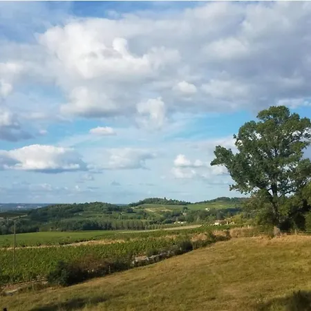Peaceful 2-Bedroom Apartment With Vineyard View *