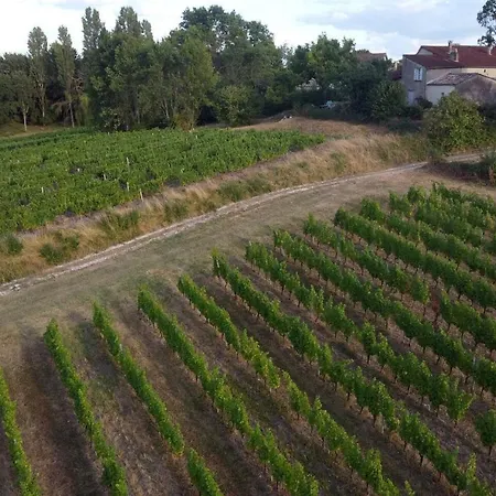 Peaceful 2-Bedroom Apartment With Vineyard View * Pomport